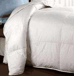blancho bedding Down Alternative Twin Comforter ( 300TC Microfiver )