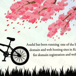 Blancho Bedding Flowering Cherry Tree - Large Wall Decals Stickers Appliques Home Decor
