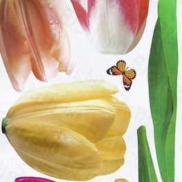 Blancho Bedding Garish Lotus - Wall Decals Stickers Appliques Home Decor