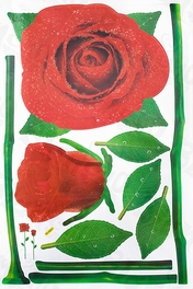 Blancho Bedding Glorious Rose 1 - X-Large Wall Decals Stickers Appliques Home Decor