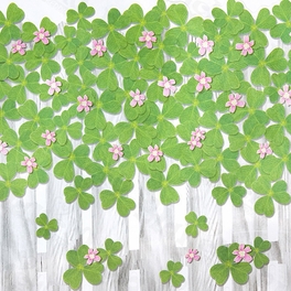 Blancho Bedding Green Garden 4 - Wall Decals Stickers Appliques Home Decor