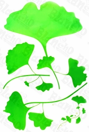 Blancho Bedding Green World - Wall Decals Stickers Appliques Home D¨¦cor