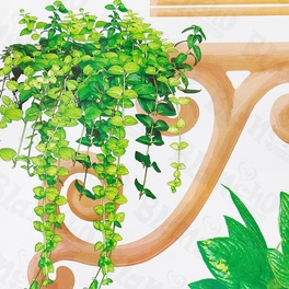 Blancho Bedding Ivy Garden - Large Wall Decals Stickers Appliques Home Decor