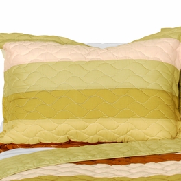 Blancho Bedding [Last Winter] 3PC Vermicelli-Quilted Patchwork Quilt Set (Full/Queen Size)