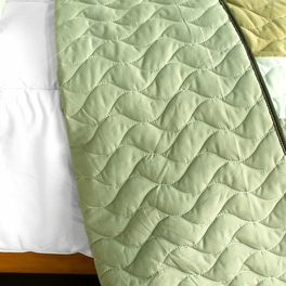 Blancho Bedding [Lost In The Dream ] 3PC Vermicelli-Quilted Patchwork Quilt Set (Full/Queen Size)