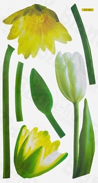 Blancho Bedding Lovely Flowers - Wall Decals Stickers Appliques Home Decor