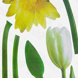 Blancho Bedding Lovely Flowers - Wall Decals Stickers Appliques Home Decor