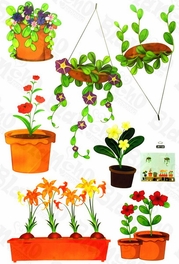 Blancho Bedding Pot Culture - Wall Decals Stickers Appliques Home D¨¦cor