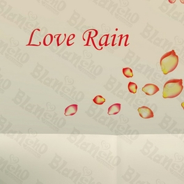 Blancho Bedding Rain Of Petals - Wall Decals Stickers Appliques Home D¨¦cor