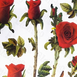 Blancho Bedding Redness Rose - X-Large Wall Decals Stickers Appliques Home Decor