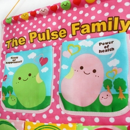 Blancho Bedding [The Pulse Family] Pink/Wall Hanging/ Wall Organizers / Baskets / Hanging Baskets (14*20)