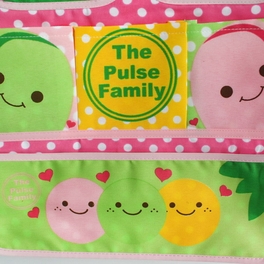 Blancho Bedding [The Pulse Family] Pink/Wall Hanging/ Wall Organizers / Baskets / Hanging Baskets (14*20)