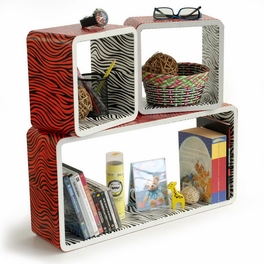 Blancho Bedding Trista - [Vivid Zebra Stripe] Rectangle Leather Wall Shelf / Bookshelf / Floating Shelf (Set Of 3)