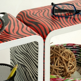 Blancho Bedding Trista - [Vivid Zebra Stripe] Rectangle Leather Wall Shelf / Bookshelf / Floating Shelf (Set Of 3)