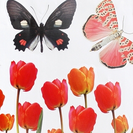 Blancho Bedding Tulip & Butterfly - Wall Decals Stickers Appliques Home Decor