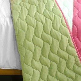 Blancho Bedding [Wonderland Secret] 3PC Vermicelli-Quilted Patchwork Quilt Set (Full/Queen Size)