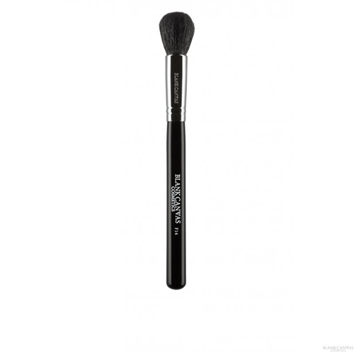 blank canvas F14 Round Top Cheek Brush