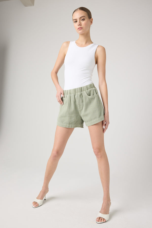 Blank Nyc Desert Sage Short Desert Sage