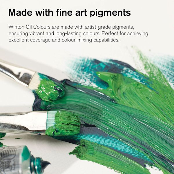 Blick Winsor & Newton Winton Oil Paints And Sets