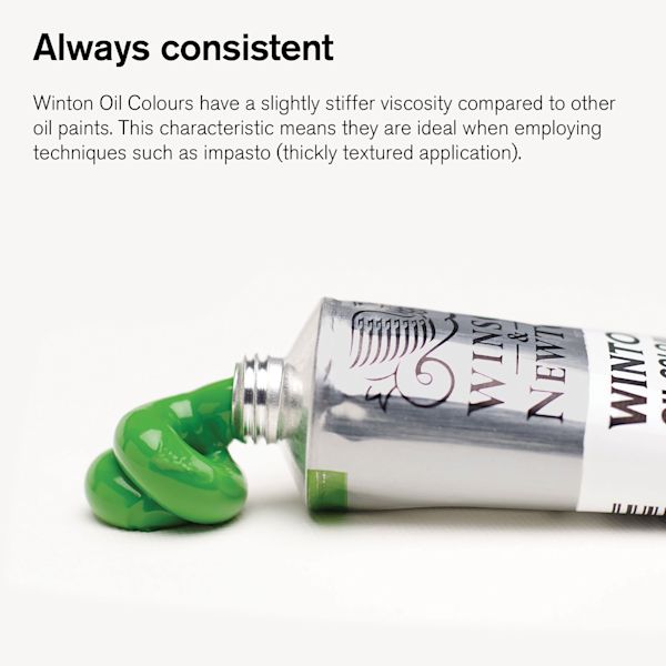 Blick Winsor & Newton Winton Oil Paints And Sets