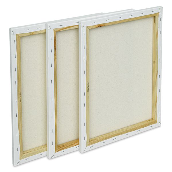 Blick Liquitex Basics Stretched Cotton Canvas Packs