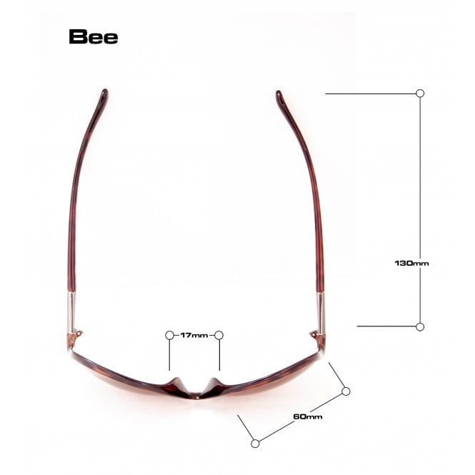 Bloc Eyewear Bloc Bee F373 F373 BEE BROWN TORT BROWN GRADUATED