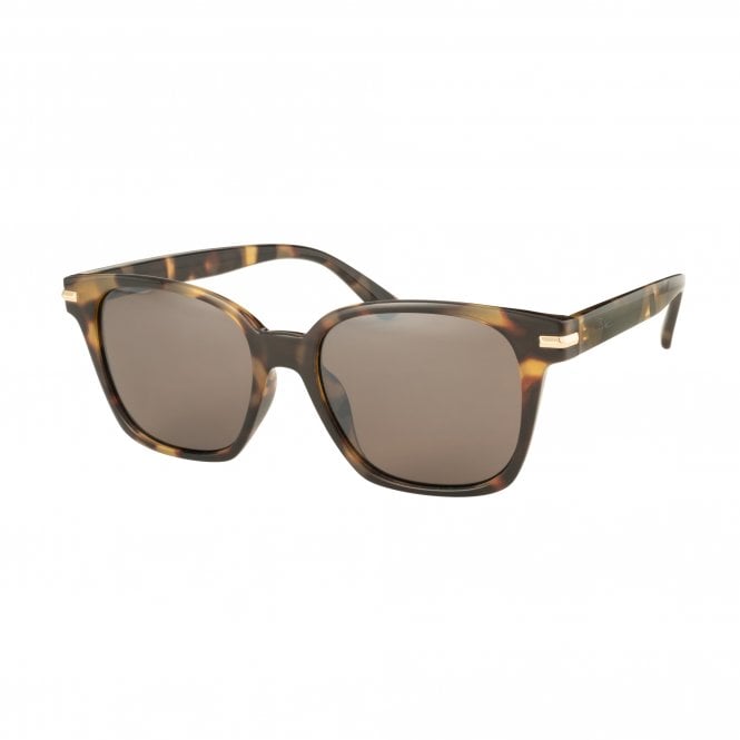 bloc eyewear Bloc Detroit TT35 Shiny Tort/Brown Cat.3 bloc eyewear Bloc Detroit TT35 Shiny Tort/Brown Cat.3