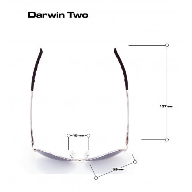 Bloc Eyewear Bloc Darwin 2 F927 Silver/Grey Cat.3