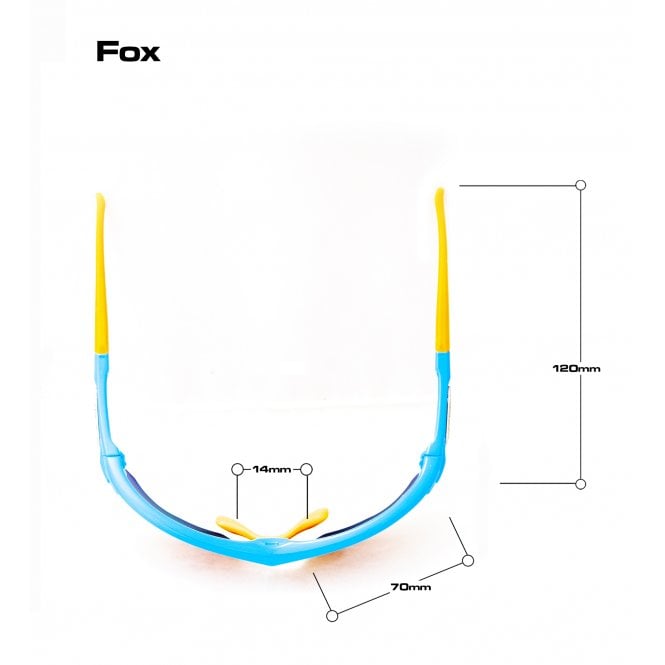 Bloc Eyewear Bloc Fox XB760 Shiny Black/Black Tips Blue Mirror Category 3