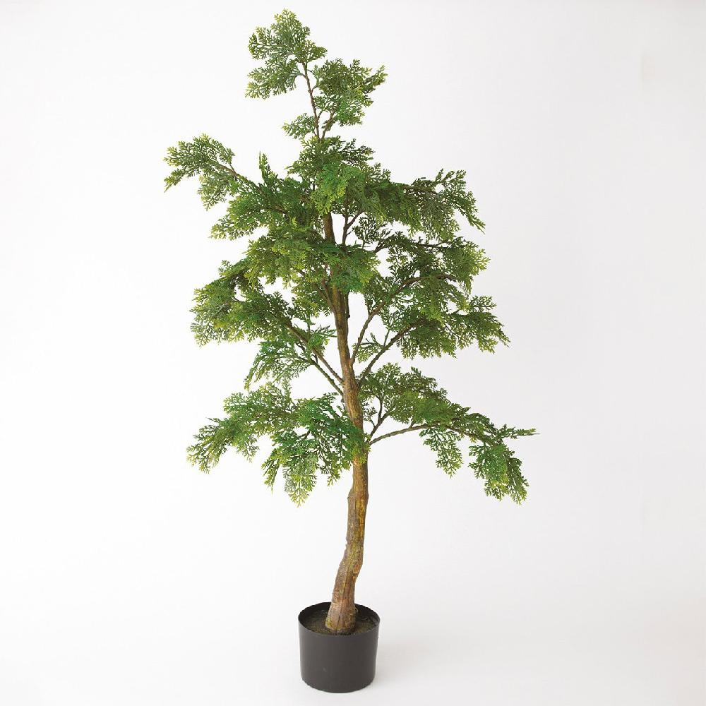 Bloom 4ft Juniper Tree