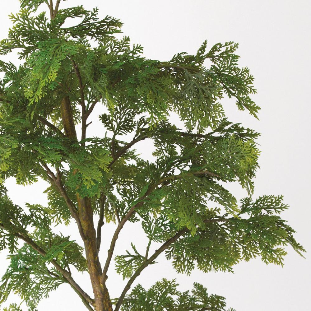 Bloom 4ft Juniper Tree