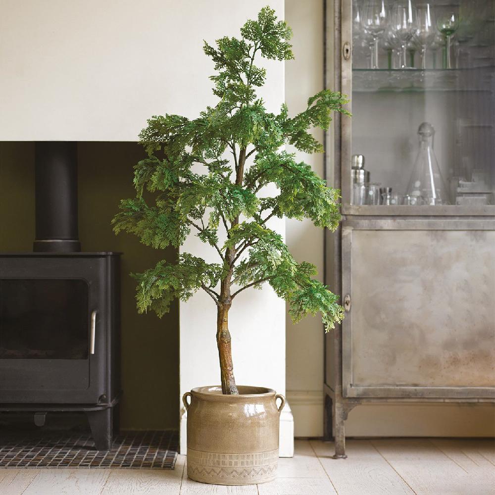 Bloom 4ft Juniper Tree