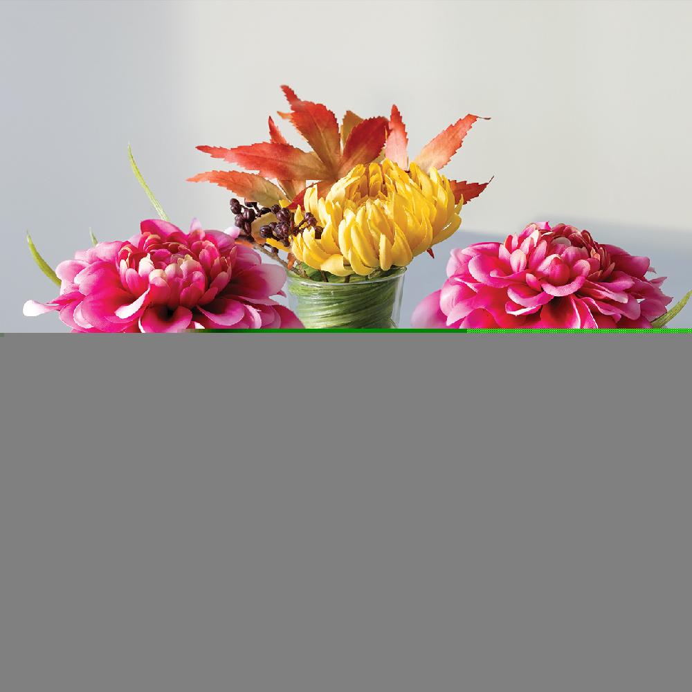 bloom A Shot of Autumn Set of 3