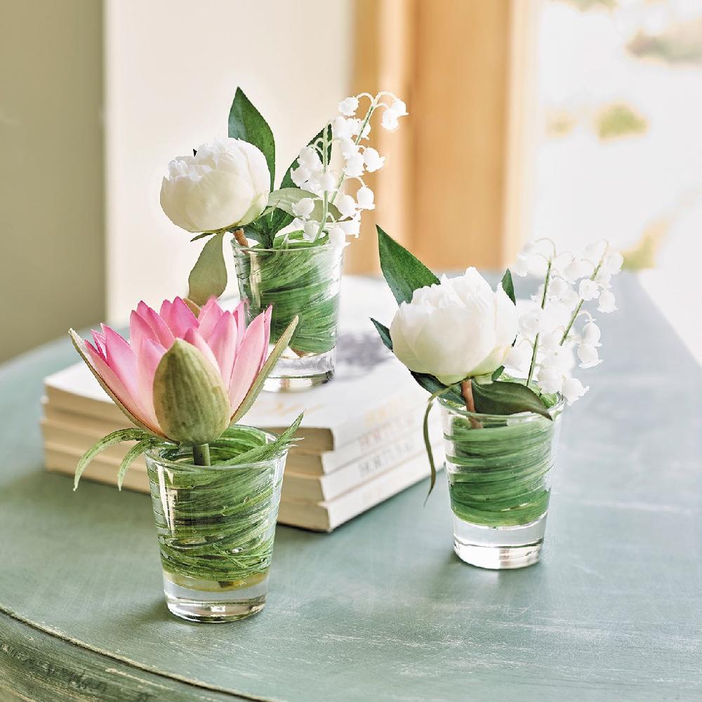 bloom A Shot of Luxury