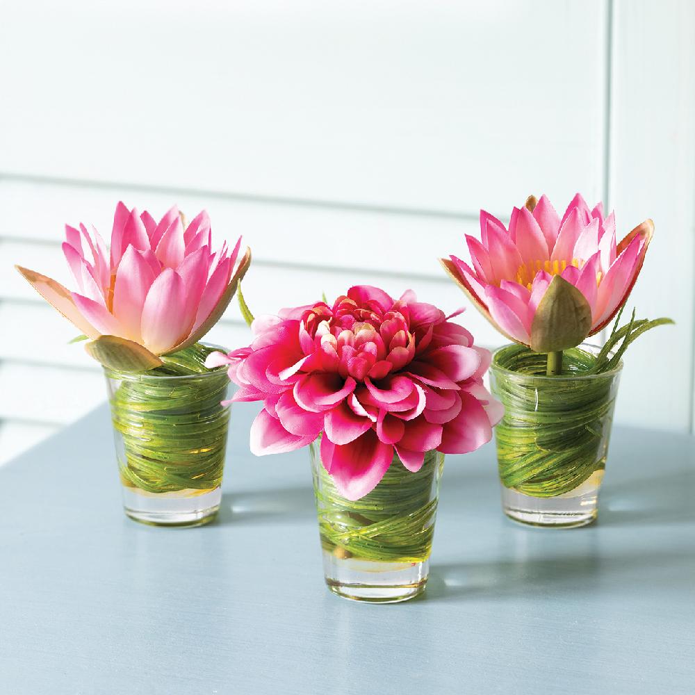 bloom A Shot of Pink Set of 3