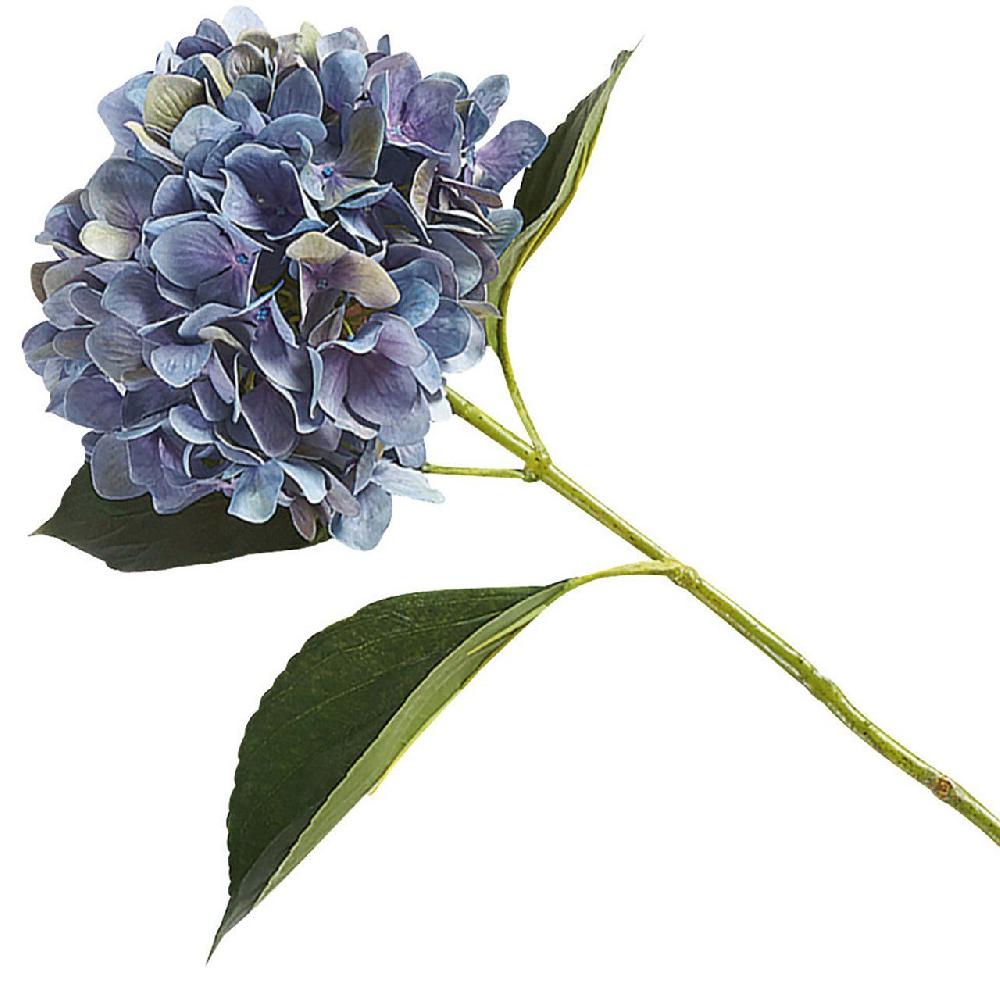 Bloom Alice Blue Hydrangea Stem