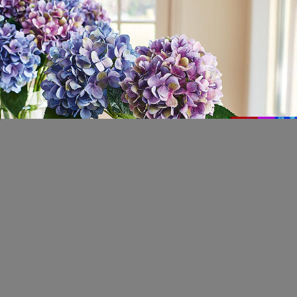 bloom Alice Blue Hydrangea Stem Set of 3