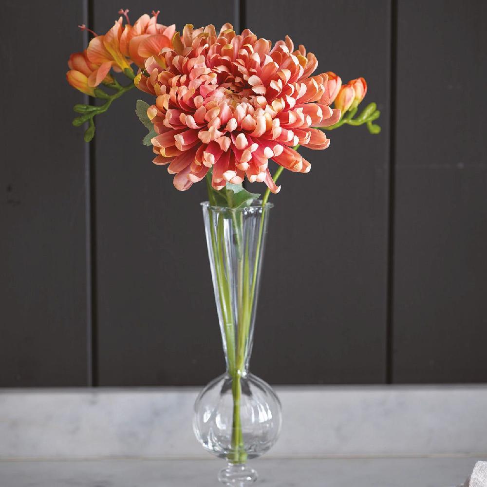 bloom Amber Chrysanthemum Stem