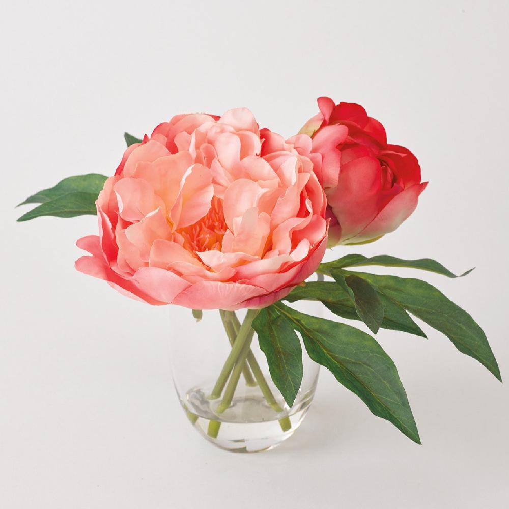 Bloom Anais Peony Arrangement