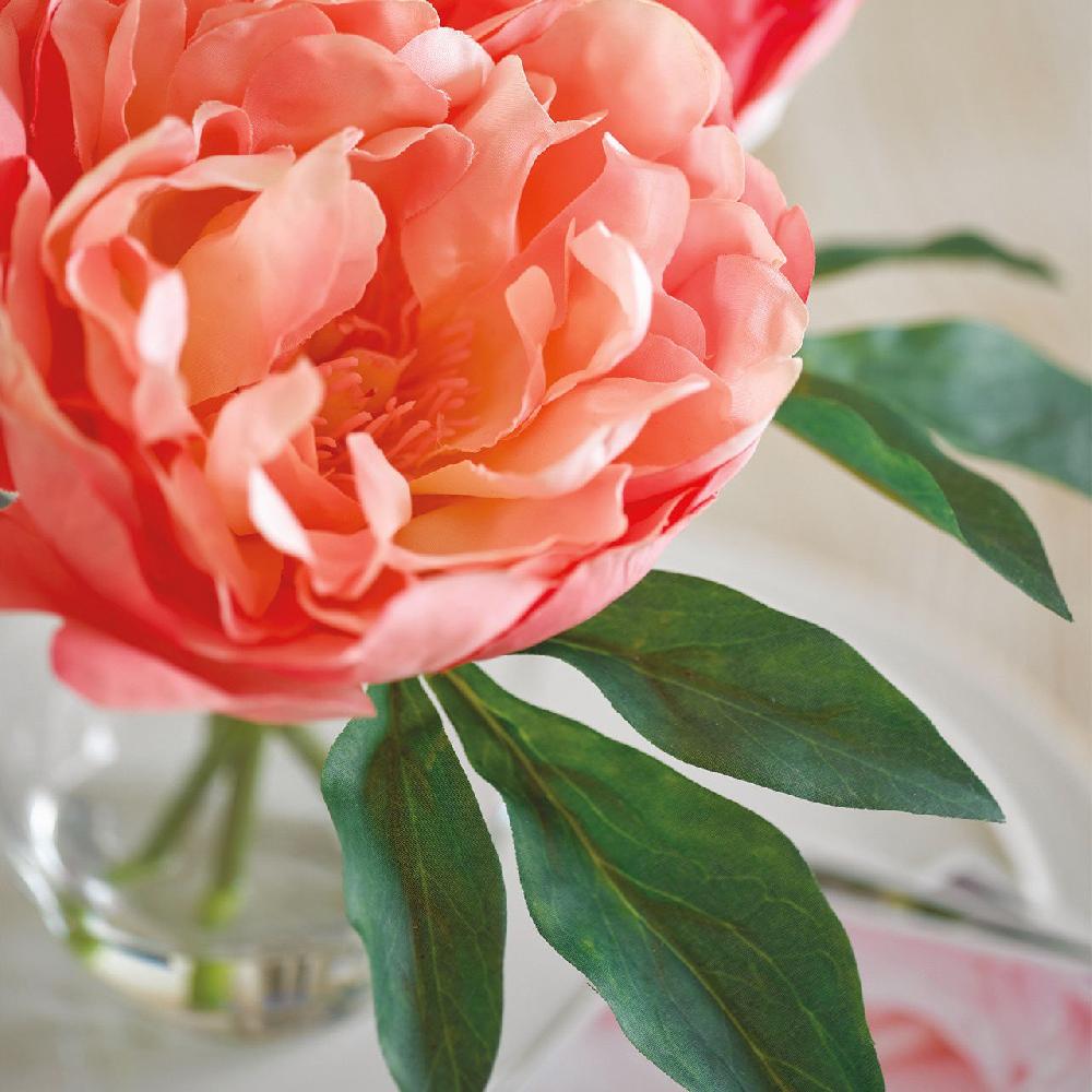 Bloom Anais Peony Arrangement