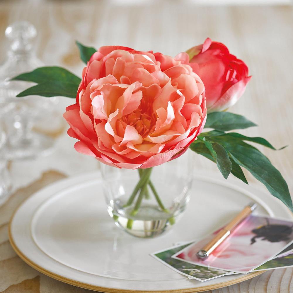 bloom Anais Peony Arrangement