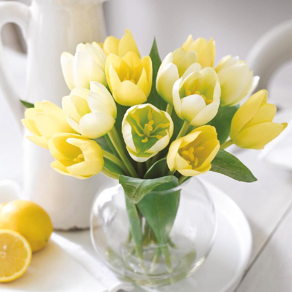 bloom Antwerp Tulip Arrangement