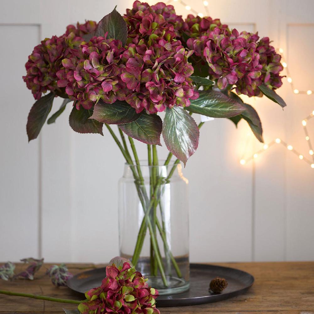 bloom Burgundy Hydrangea Stem