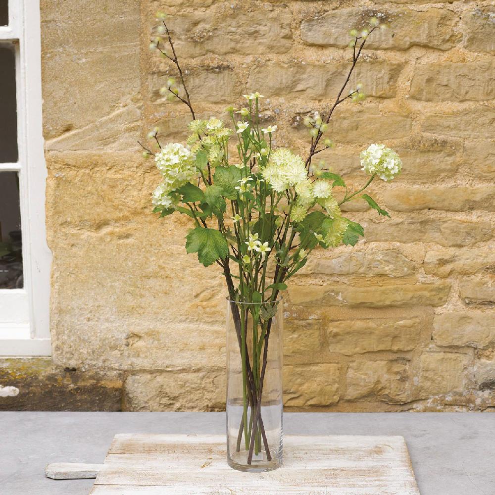 bloom Campanula Stem
