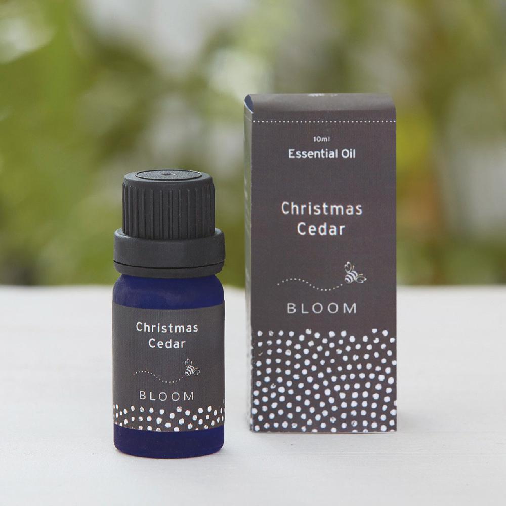 bloom Christmas Cedar Essential Oil