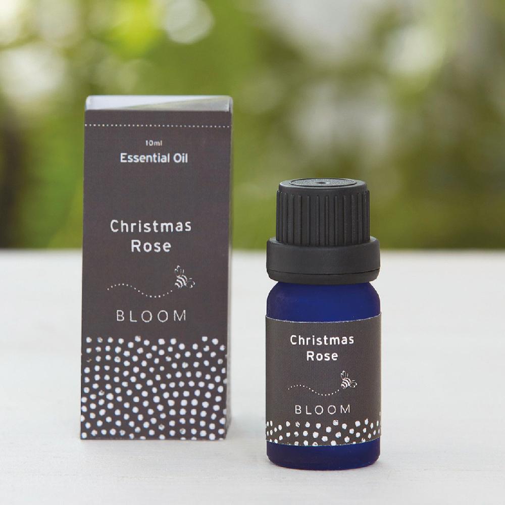 bloom Christmas Rose Essential Oil