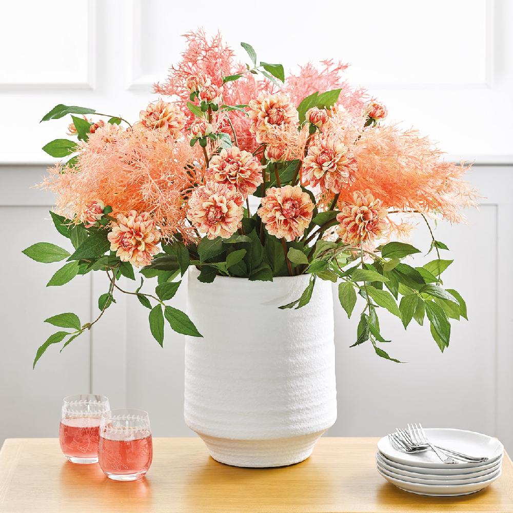 Bloom Clematis Foliage Stem