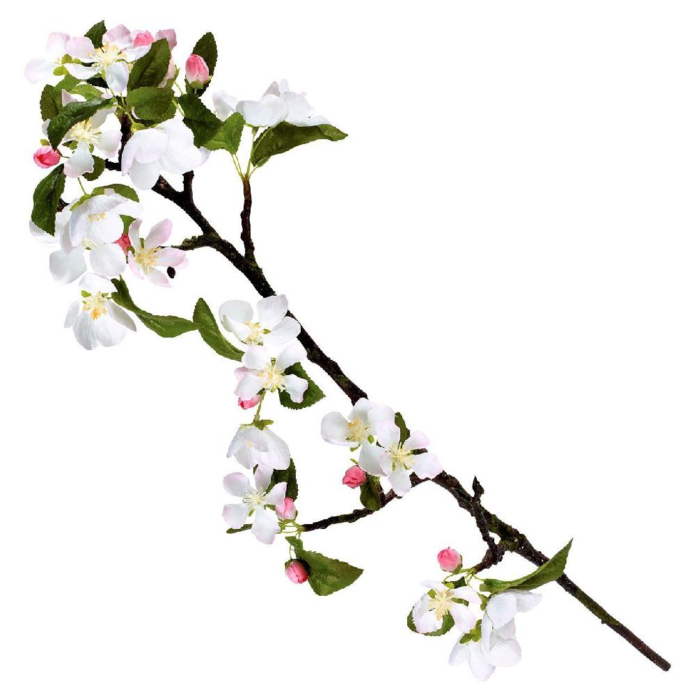 bloom Crab Apple Blossom Branch