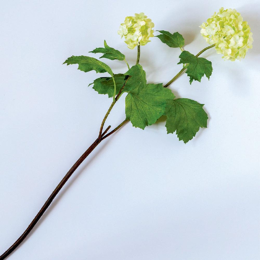 Bloom Cream Guelder Rose Branch