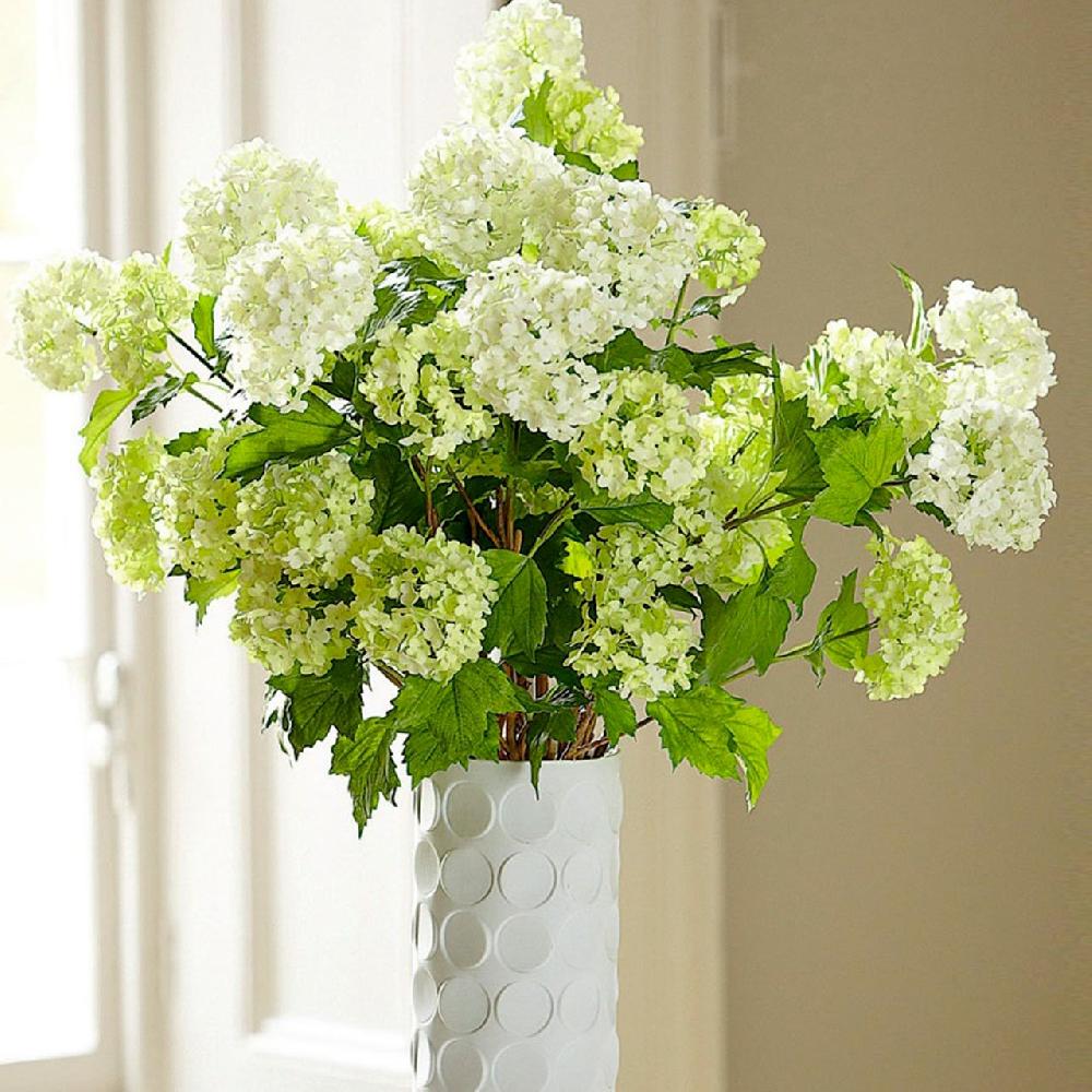 Bloom Cream Guelder Rose Branch